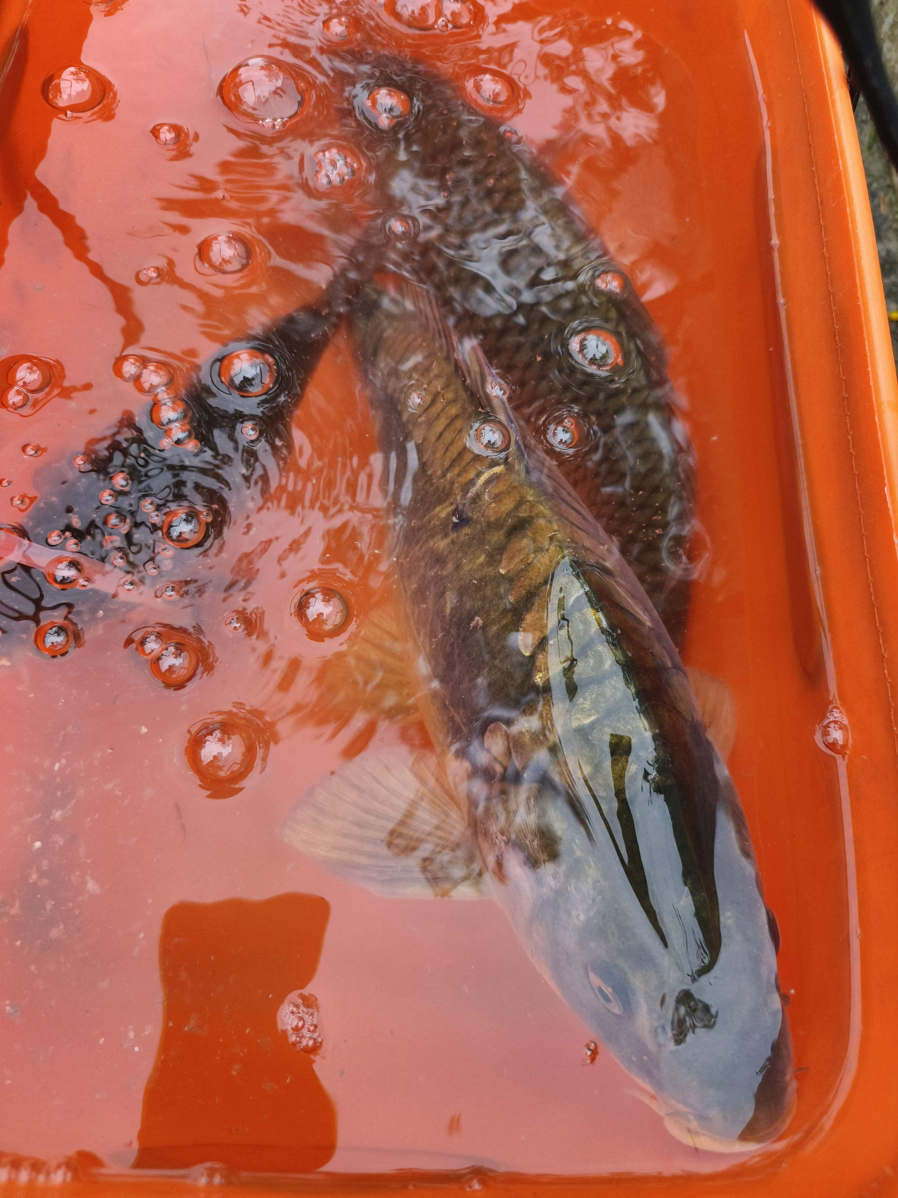 很多钓友喜 很多钓友喜