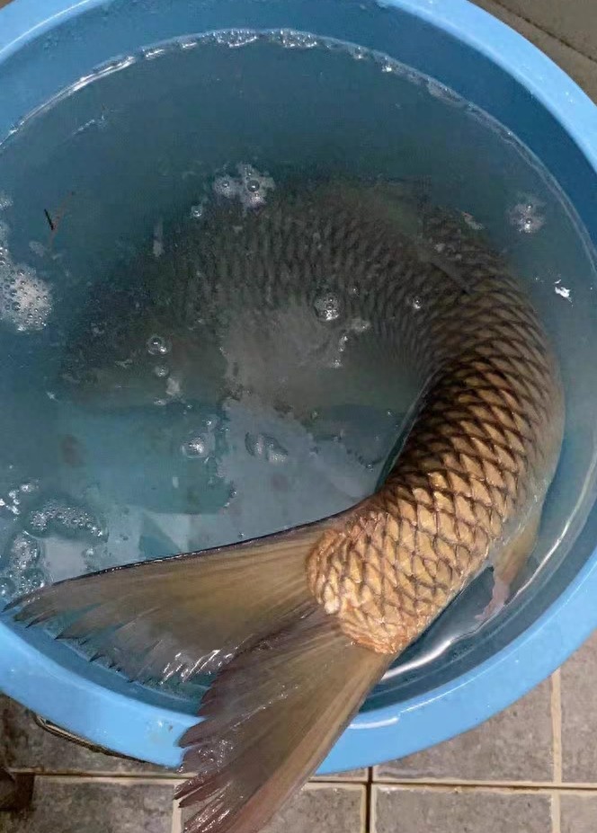 虽然说, 唯一的特例, div 虽然说, 唯一的特例, div