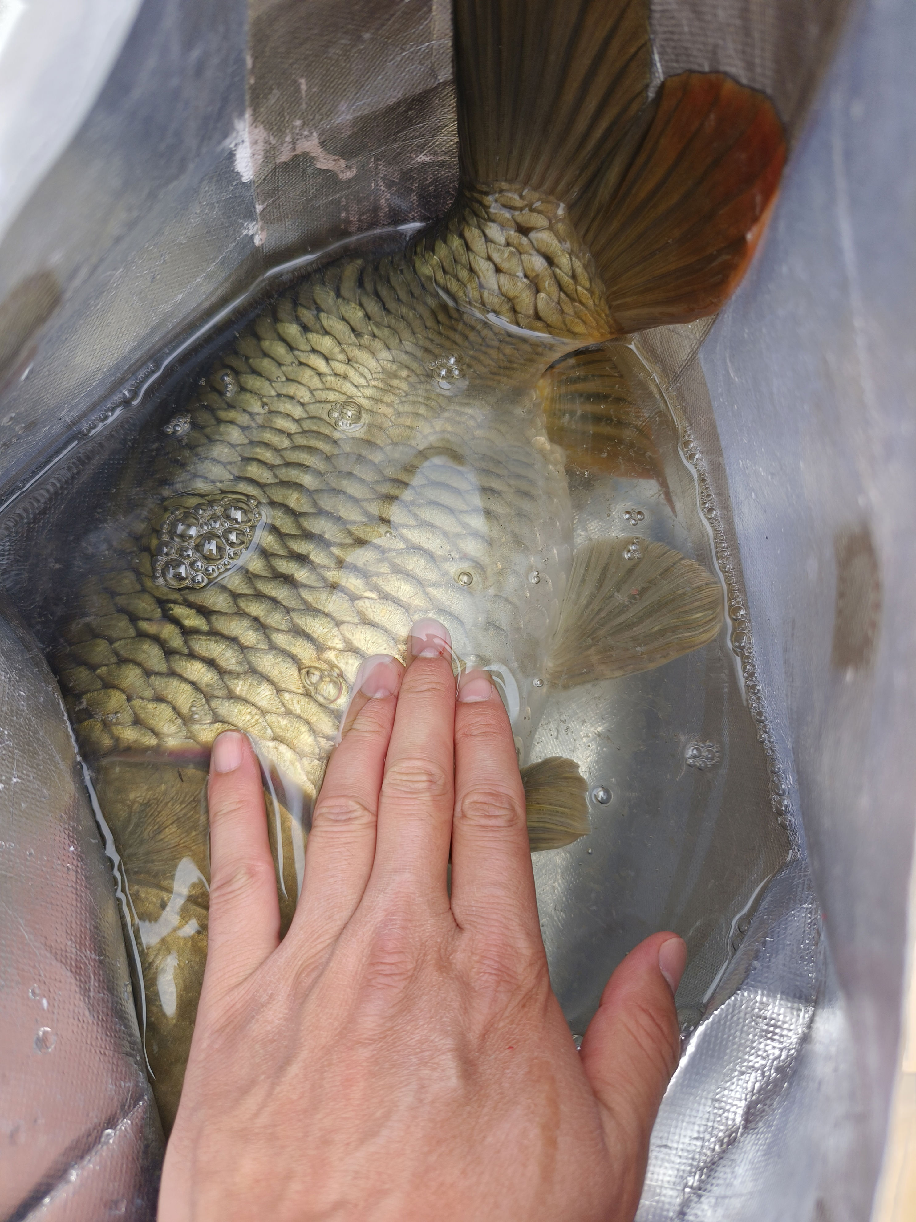 脱落完毕了, 这时候, div 脱落完毕了, 这时候, div