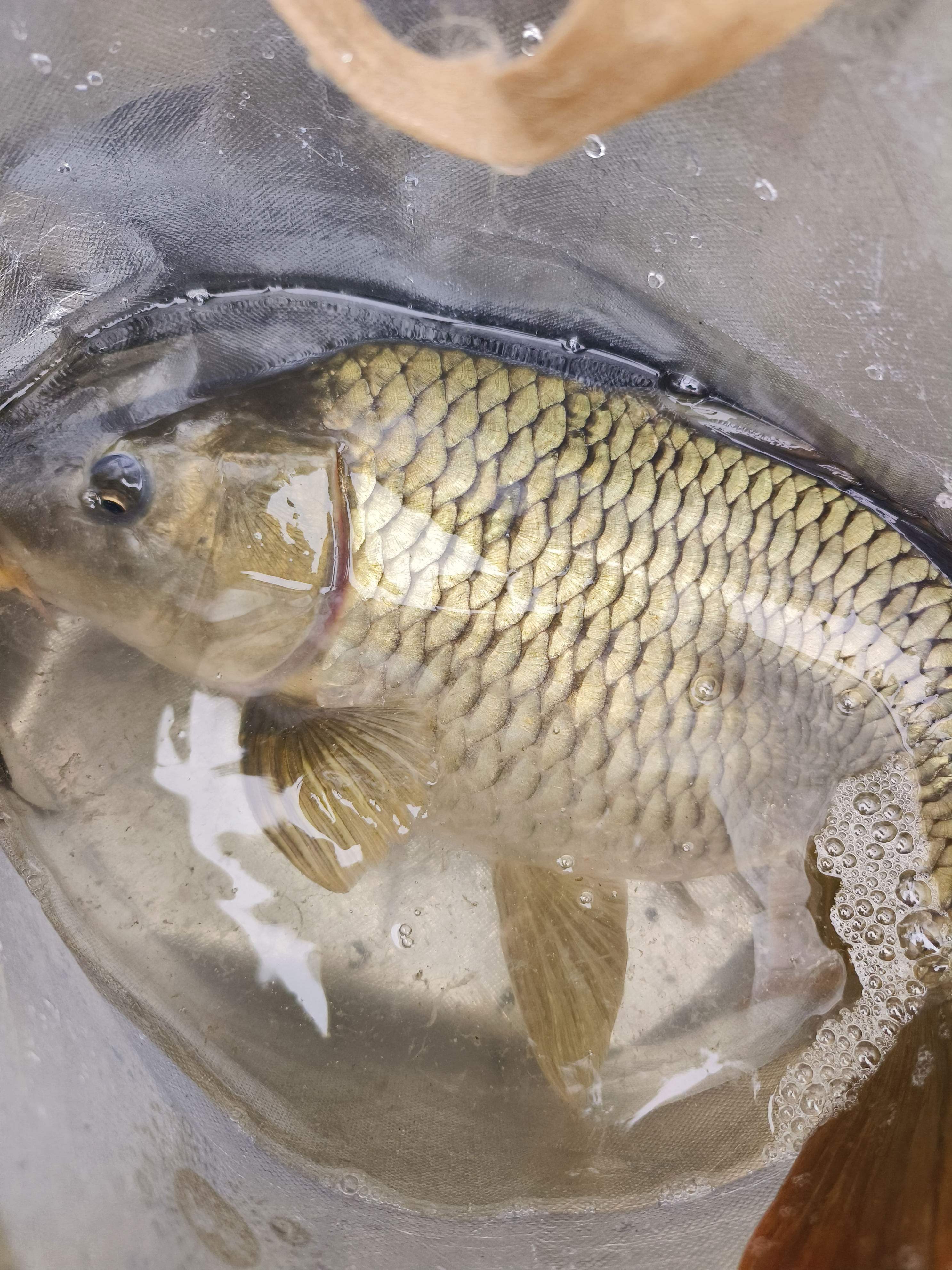 讨论交流, div, 水中准确识 讨论交流, div, 水中准确识